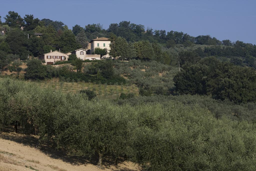 Agriturismo Il Girasole มอนเตฟัลโก ภายนอก รูปภาพ