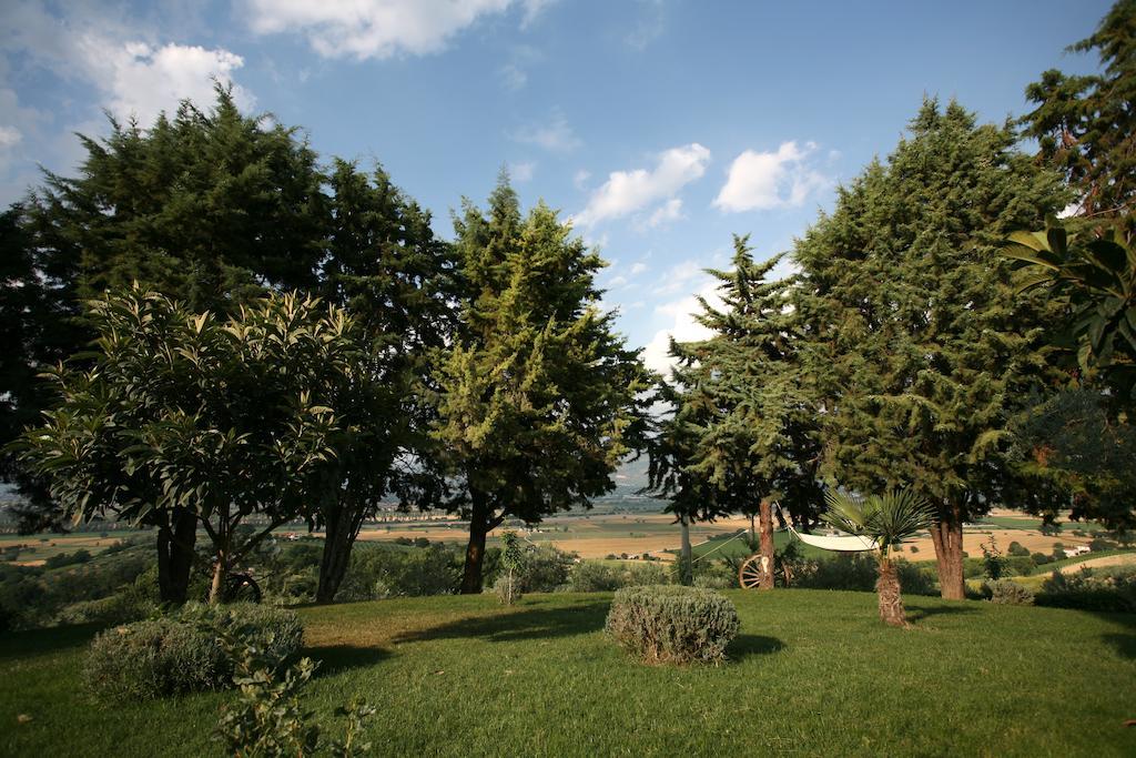 Agriturismo Il Girasole มอนเตฟัลโก ห้อง รูปภาพ