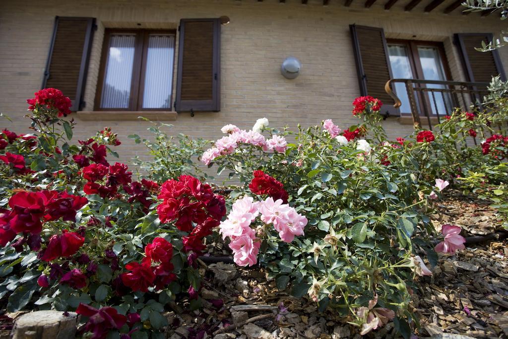 Agriturismo Il Girasole มอนเตฟัลโก ห้อง รูปภาพ