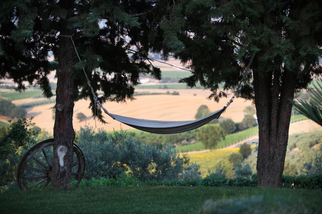 Agriturismo Il Girasole มอนเตฟัลโก ภายนอก รูปภาพ