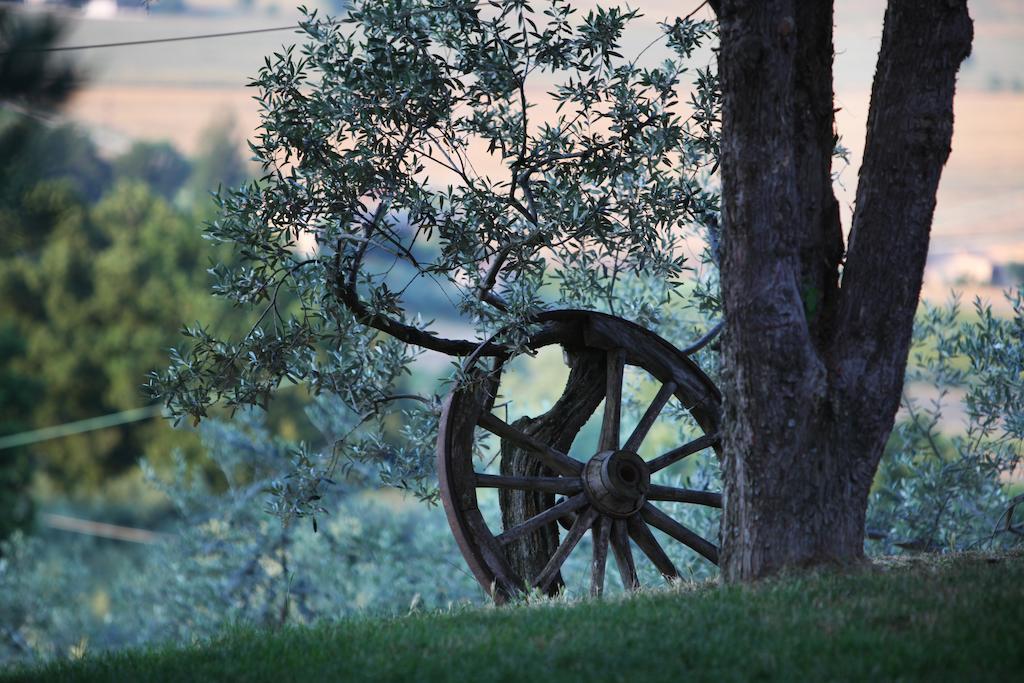 Agriturismo Il Girasole มอนเตฟัลโก ภายนอก รูปภาพ