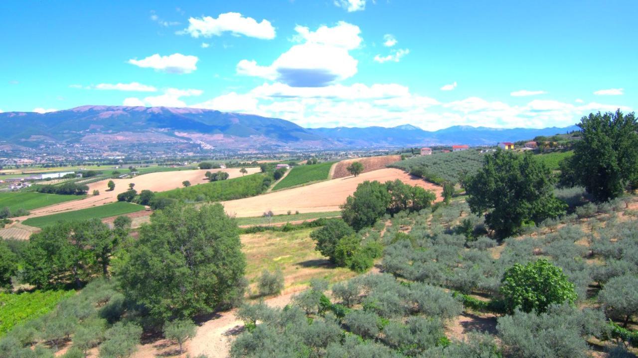 Agriturismo Il Girasole มอนเตฟัลโก ภายนอก รูปภาพ